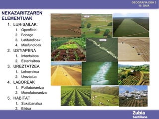 GEOGRAFIA DBH 3
10. GAIA

NEKAZARITZAREN
ELEMENTUAK
1. LUR-SAILAK:
1.
2.
3.
4.

Openfield
Bocage
Latifundioak
Minifundioak

2. USTIAPENA
1. Intentsiboa
2. Estentsiboa

3. UREZTATZEA
1. Lehorrekoa
2. Ureztatua

4. LABOREAK
1. Polilaborantza
2. Monolaborantza

5. HABITAT
1. Sakabanatua
2. Bildua

 