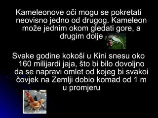 Kameleonove oči mogu se pokretatiKameleonove oči mogu se pokretati
neovisno jedno od drugog. Kameleonneovisno jedno od drugog. Kameleon
može jednim okom gledati gore, amože jednim okom gledati gore, a
drugim doljedrugim dolje
Svake godine kokoši u Kini snesu okoSvake godine kokoši u Kini snesu oko
160 milijardi jaja, što bi bilo dovoljno160 milijardi jaja, što bi bilo dovoljno
da se napravi omlet od kojeg bi svakoida se napravi omlet od kojeg bi svakoi
čovjek na Zemlji dobio komad od 1 mčovjek na Zemlji dobio komad od 1 m
u promjeruu promjeru
 
