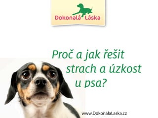 Proč a jak řešit
   strach a úzkost
     u psa?

     www.DokonalaLaska.cz
 