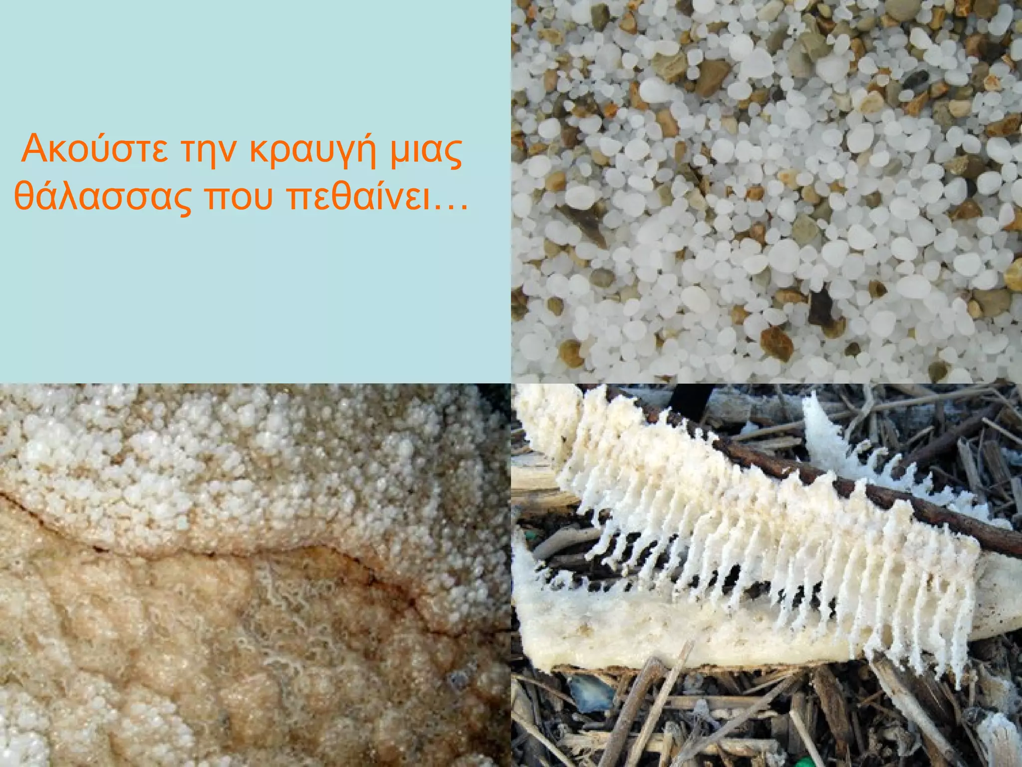 Ακούστε την κραυγή μιας
θάλασσας που πεθαίνει…

 