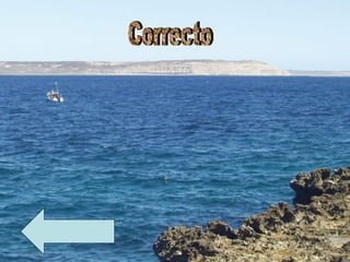 Correcto 