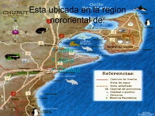 Esta ubicada en la region nororiental de: Salta Jujuy Chubut 