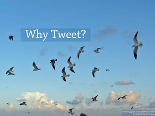 Why Tweet?




             Hovering gulls by @mak506 on Flickr
                        CC:BY-NC-SA 2.0 license
 