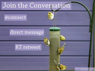 Join the Conversation
@connect

  direct message

    RT retweet


                        Winter finches by @Maia C. on Flickr
                                  CC: BY-NC-ND 2.0 license
 