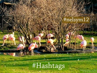 #nelsym12




#Hashtags    Flocking by @Maia C. on Flickr
                 CC: BY-NC-ND 2.0 license
 