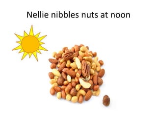 Nellie nibbles nuts at noon
 