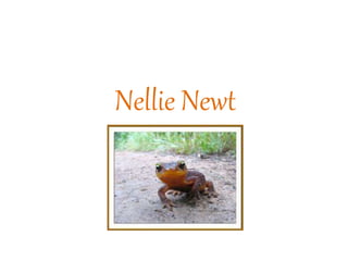 Nellie Newt
 
