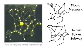 Mould
Network
Actual
Tokyo
Subway
Rules for Biologically-Inspired Network Design
 