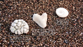 SENTIENCE
SAPIENCE
META
 