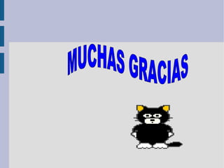 MUCHAS GRACIAS 