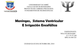 UNIVERSIDAD YACAMBÚ 
FACULTAD DE HUMANIDADES 
PROYECTO DE CARRERA PSICOLOGÍA 
FUNDAMENTOS DE NEUROCIENCIAS 
PARTICIPANTE: 
NELLYS GRANADO 
C.I: 19.157.368 
HPS-141-00172V 
Meninges, Sistema Ventricular 
E Irrigación Encefálica 
CIUDAD GUAYANA OCTUBRE DEL 2014 
 