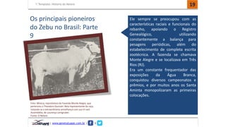 Template: História do Nelore 19 
Os principais pioneiros 
do Zebu no Brasil: Parte 
9 
Foto: Mística, reprodutora da Fazenda Monte Alegre, que 
pertenceu a Theodoro Duvivier. Bela representante da raça, 
notando-se a extraordinária semelhança com sua tri-avó 
Assembléia, de Lourenço Lemgruber. 
Fonte: O Nelore. 
| www.genetatuape.com.br | I 
Ele sempre se preocupou com as 
características raciais e funcionais do 
rebanho, apoiando o Registro 
Genealógico, utilizando 
constantemente a balança para 
pesagens periódicas, além do 
estabelecimento de completa escrita 
zootécnica. A fazenda se chamava 
Monte Alegre e se localizava em Três 
Rios (RJ). 
Era um constante frequentador das 
exposições da Água Branca, 
conquistou diversos campeonatos e 
prêmios, e por muitos anos os Santa 
Aminta monopolizaram as primeiras 
colocações. 
 