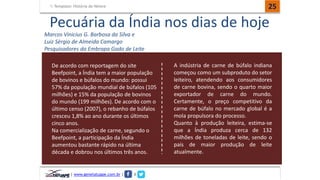 Template: História do Nelore 
25 
Pecuária da Índia nos dias de hoje 
Marcos Vinicius G. Barbosa da Silva e 
Luiz Sérgio de Almeida Camargo 
Pesquisadores da Embrapa Gado de Leite 
De acordo com reportagem do site 
Beefpoint, a Índia tem a maior população 
de bovinos e búfalos do mundo: possui 
57% da população mundial de búfalos (105 
milhões) e 15% da população de bovinos 
do mundo (199 milhões). De acordo com o 
último censo (2007), o rebanho de búfalos 
cresceu 1,8% ao ano durante os últimos 
cinco anos. 
Na comercialização de carne, segundo o 
Beefpoint, a participação da Índia 
aumentou bastante rápido na última 
década e dobrou nos últimos três anos. 
| www.genetatuape.com.br | I 
A indústria de carne de búfalo indiana 
começou como um subproduto do setor 
leiteiro, atendendo aos consumidores 
de carne bovina, sendo o quarto maior 
exportador de carne do mundo. 
Certamente, o preço competitivo da 
carne de búfalo no mercado global é a 
mola propulsora do processo. 
Quanto à produção leiteira, estima-se 
que a Índia produza cerca de 132 
milhões de toneladas de leite, sendo o 
país de maior produção de leite 
atualmente. 
 
