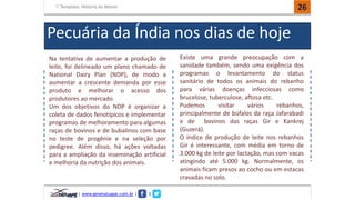 Template: História do Nelore 
Pecuária da Índia nos dias de hoje 
Na tentativa de aumentar a produção de 
leite, foi delineado um plano chamado de 
National Dairy Plan (NDP), de modo a 
aumentar a crescente demanda por esse 
produto e melhorar o acesso dos 
produtores ao mercado. 
Um dos objetivos do NDP é organizar a 
coleta de dados fenotípicos e implementar 
programas de melhoramento para algumas 
raças de bovinos e de bubalinos com base 
no teste de progênie e na seleção por 
pedigree. Além disso, há ações voltadas 
para a ampliação da inseminação artificial 
e melhoria da nutrição dos animais. 
| www.genetatuape.com.br | I 
26 
Existe uma grande preocupação com a 
sanidade também, sendo uma exigência dos 
programas o levantamento do status 
sanitário de todos os animais do rebanho 
para várias doenças infecciosas como 
brucelose, tuberculose, aftosa etc. 
Pudemos visitar vários rebanhos, 
principalmente de búfalos da raça Jafarabadi 
e de bovinos das raças Gir e Kankrej 
(Guzerá). 
O índice de produção de leite nos rebanhos 
Gir é interessante, com média em torno de 
3.000 kg de leite por lactação, mas com vacas 
atingindo até 5.000 kg. Normalmente, os 
animais ficam presos ao cocho ou em estacas 
cravadas no solo. 
 