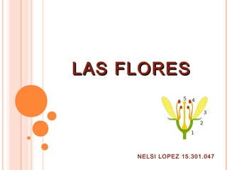 LAS FLORES



     NELSI LOPEZ 15.301.047
 