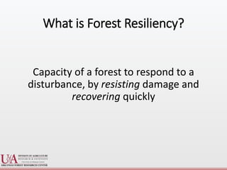 Andrew Nelson's Presentation on Forest Resiliency | PPTX