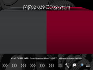 CLNT_UCAST_INST + [instancename >= 96 bytes] != NULL + additional entities = shellcode
 