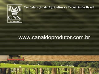 Confederação da Agricultura e Pecuária do Brasil




www.canaldoprodutor.com.br
 
