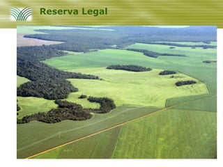 Reserva Legal
 