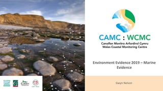 Gwyn Nelson
Environment Evidence 2019 – Marine
Evidence
 