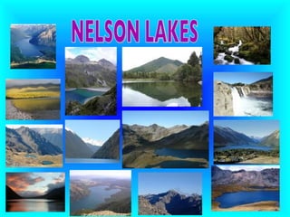 NELSON LAKES                                                                                                                                                                                                                                                      