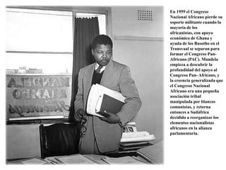 En 1959 el Congreso Nacional Africano pierde su soporte militante cuando la mayoría de los africanistas, con apoyo económico de Ghana y ayuda de los Basotho en el Transvaal se separan para formar el Congreso Pan-Africano (PAC). Mandela empieza a descubrir la profundidad del apoyo al Congreso Pan- Africano, y la creencia generalizada que el Congreso Nacional Africano era una pequeña asociación tribal manipulada por blancos comunistas, y retorna entonces a Sudáfrica decidido a reorganizar los elementos nacionalistas africanos en la alianza parlamentaria. 