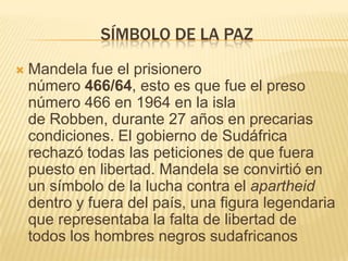 Símbolo de la pazMandela fue el prisionero número 466/64, esto es que fue el preso número 466 en 1964 en la isla de Robben, durante 27 años en precarias condiciones. El gobierno de Sudáfrica rechazó todas las peticiones de que fuera puesto en libertad. Mandela se convirtió en un símbolo de la lucha contra el apartheid dentro y fuera del país, una figura legendaria que representaba la falta de libertad de todos los hombres negros sudafricanos