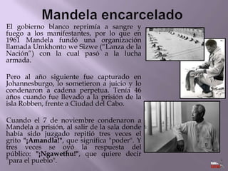 El gobierno blanco reprimía a sangre y
fuego a los manifestantes, por lo que en
1961 Mandela fundó una organización
llamada Umkhonto we Sizwe (“Lanza de la
Nación”) con la cual pasó a la lucha
armada.
Pero al año siguiente fue capturado en
Johannesburgo, lo sometieron a juicio y lo
condenaron a cadena perpetua. Tenía 46
años cuando fue llevado a la prisión de la
isla Robben, frente a Ciudad del Cabo.

Cuando el 7 de noviembre condenaron a
Mandela a prisión, al salir de la sala donde
había sido juzgado repitió tres veces el
grito "¡Amandla!", que significa "poder". Y
tres veces se oyó la respuesta del
público: "¡Ngawethu!", que quiere decir
"para el pueblo".

 