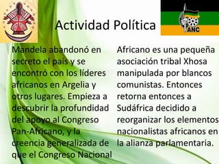 INFANCIA YPolítica
Actividad JUVENTUD
Mandela abandonó en
secreto el país y se
encontró con los líderes
africanos en Argelia y
otros lugares. Empieza a
descubrir la profundidad
del apoyo al Congreso
Pan-Africano, y la
creencia generalizada de
que el Congreso Nacional

Africano es una pequeña
asociación tribal Xhosa
manipulada por blancos
comunistas. Entonces
retorna entonces a
Sudáfrica decidido a
reorganizar los elementos
nacionalistas africanos en
la alianza parlamentaria.

 