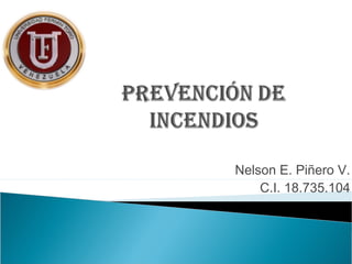 Nelson E. Piñero V. 
C.I. 18.735.104 
 