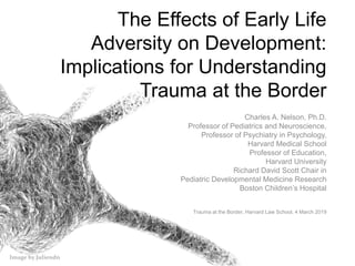 Image by Juliendn
The Effects of Early Life
Adversity on Development:
Implications for Understanding
Trauma at the Border
Charles A. Nelson, Ph.D.
Professor of Pediatrics and Neuroscience,
Professor of Psychiatry in Psychology,
Harvard Medical School
Professor of Education,
Harvard University
Richard David Scott Chair in
Pediatric Developmental Medicine Research
Boston Children’s Hospital
Trauma at the Border, Harvard Law School, 4 March 2019
 