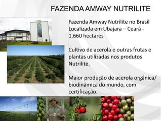 + de 50 anos de existência