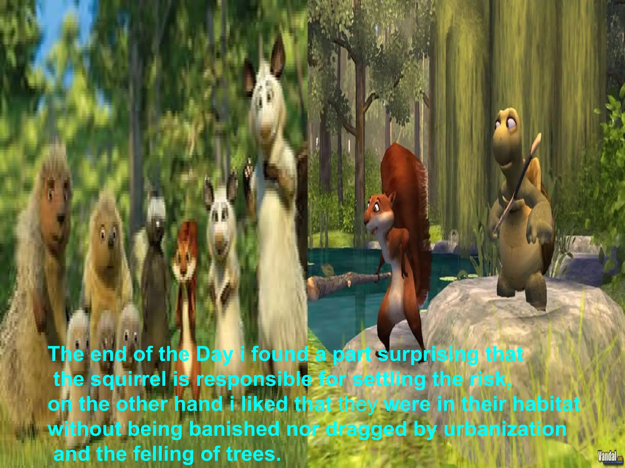The end of the Day i found a part surprising that the squirrel is responsible for settling the risk,  on the other hand i liked that  they  were in their habitat  without being banished nor dragged by urbanization and the felling of trees.   
