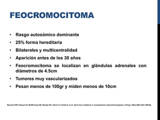 FEOCROMOCITOMA

  • Rasgo autosómico dominante
  • 25% forma hereditaria
  • Bilaterales y multicentralidad
  • Aparición antes de los 30 años
  • Feocromocitoma se localizan en glándulas adrenales con
    diámetros de 4.5cm
  • Tumores muy vascularizados
  • Pesan menos de 100gr y miden menos de 10cm


Neuman HPH, Bausch B, McWhinney SR, Bender BV, Gimm O, Franke G, et al. Germ-line mutations in nonsyndromic pheochromocytoma. N Engl J Med 2002;346:1459-66.
 