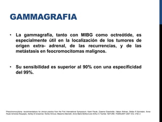 GAMMAGRAFIA

    • La gammagrafía, tanto con MIBG como octreótide, es
      especialmente útil en la localización de los tumores de
      origen extra- adrenal, de las recurrencias, y de las
      metástasis en feocromocitomas malignos.


    • Su sensibilidad es superior al 90% con una especificidad
      del 99%.




Pheochromocytoma: recommendations for clinical practice from the First International Symposium. Karel Pacak, Graeme Eisenhofer, Håkan Ahlman, Stefan R Bornstein, Anne-
Paule Gimenez-Roqueplo, Ashley B Grossman, Noriko Kimura, Massimo Mannelli, Anne Marie McNicol and Arthur S Tischler. NATURE. FEBRUARY 2007 VOL 3 NO 2
 