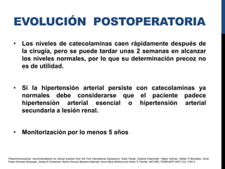 EVOLUCIÓN POSTOPERATORIA
    • Los niveles de catecolaminas caen rápidamente después de
      la cirugía, pero se puede tardar unas 2 semanas en alcanzar
      los niveles normales, por lo que su determinación precoz no
      es de utilidad.


    • Si la hipertensión arterial persiste con catecolaminas ya
      normales debe considerarse que el paciente padece
      hipertensión arterial esencial o hipertensión arterial
      secundaria a lesión renal.


    • Monitorización por lo menos 5 años



Pheochromocytoma: recommendations for clinical practice from the First International Symposium. Karel Pacak, Graeme Eisenhofer, Håkan Ahlman, Stefan R Bornstein, Anne-
Paule Gimenez-Roqueplo, Ashley B Grossman, Noriko Kimura, Massimo Mannelli, Anne Marie McNicol and Arthur S Tischler. NATURE. FEBRUARY 2007 VOL 3 NO 2
 