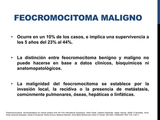 FEOCROMOCITOMA MALIGNO

     • Ocurre en un 10% de los casos, e implica una supervivencia a
       los 5 años del 23% al 44%.


     • La distinción entre feocromocitoma benigno y maligno no
       puede hacerse en base a datos clínicos, bioquímicos ni
       anatomopatológicos.


     • La malignidad del feocromocitoma se establece por la
       invasión local, la recidiva o la presencia de metástasis,
       comúnmente pulmonares, óseas, hepáticas o linfáticas.


Pheochromocytoma: recommendations for clinical practice from the First International Symposium. Karel Pacak, Graeme Eisenhofer, Håkan Ahlman, Stefan R Bornstein, Anne-
Paule Gimenez-Roqueplo, Ashley B Grossman, Noriko Kimura, Massimo Mannelli, Anne Marie McNicol and Arthur S Tischler. NATURE. FEBRUARY 2007 VOL 3 NO 2
 