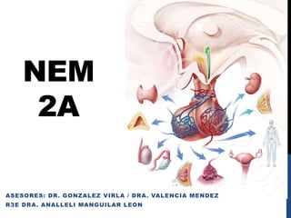 NEM
     2A

ASESORES: DR. GONZALEZ VIRLA / DRA. VALENCIA MENDEZ
R3E DRA. ANALLELI MANGUILAR LEON
 
