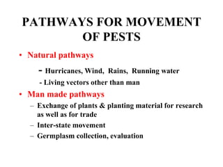 PATHWAYS FOR MOVEMENT
OF PESTS
• Natural pathways
- Hurricanes, Wind, Rains, Running water
- Living vectors other than man
• Man made pathways
– Exchange of plants & planting material for research
as well as for trade
– Inter-state movement
– Germplasm collection, evaluation
 