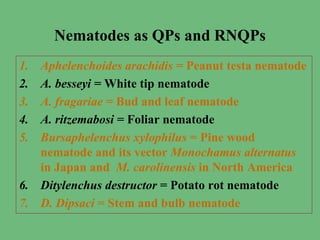 Nematodes as QPs and RNQPs
1. Aphelenchoides arachidis = Peanut testa nematode
2. A. besseyi = White tip nematode
3. A. fragariae = Bud and leaf nematode
4. A. ritzemabosi = Foliar nematode
5. Bursaphelenchus xylophilus = Pine wood
nematode and its vector Monochamus alternatus
in Japan and M. carolinensis in North America
6. Ditylenchus destructor = Potato rot nematode
7. D. Dipsaci = Stem and bulb nematode
 
