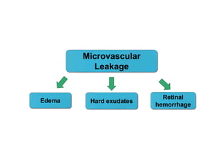Edema
Retinal
hemorrhage
Hard exudates
Microvascular
Leakage
 
