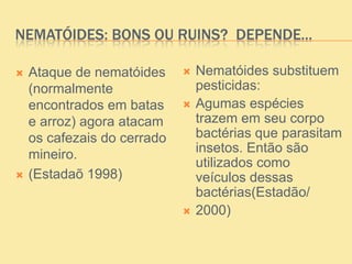 NEMATÓIDES: BONS OU RUINS? DEPENDE...
 Ataque de nematóides
(normalmente
encontrados em batas
e arroz) agora atacam
os cafezais do cerrado
mineiro.
 (Estadaõ 1998)
 Nematóides substituem
pesticidas:
 Agumas espécies
trazem em seu corpo
bactérias que parasitam
insetos. Então são
utilizados como
veículos dessas
bactérias(Estadão/
 2000)
 
