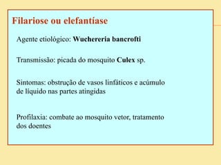 Filariose ou elefantíase
Agente etiológico: Wuchereria bancrofti
Transmissão: picada do mosquito Culex sp.
Sintomas: obstrução de vasos linfáticos e acúmulo
de líquido nas partes atingidas
Profilaxia: combate ao mosquito vetor, tratamento
dos doentes
 