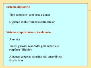 Sistema digestório
Tipo completo (com boca e ânus)
Digestão exclusivamente extracelular
Sistema respiratório e circulatório
Ausentes
Trocas gasosas realizadas pela superfície
corpórea (difusão)
Algumas espécies parasitas são anaeróbicas
facultativas
 