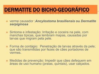 DERMATITE DO BICHO-GEOGRÁFICO
 verme causador :Ancylostoma brasiliensis ou Dermatite
serpiginosa
 Sintoma e infestação: Irritação e coceira na pele, com
manchas típicas, que lembram mapas, causadas por
larvas que migram pela pele.
 Forma de contágio: Penetração de larvas através da pele;
que são transmitidas por fezes de cães portadores de
vermes.
 Medidas de prevenção: Impedir que cães defequem em
áreas de uso humano (praias, quintais), usar calçados.
 