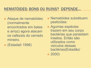 NEMATÓIDES: BONS OU RUINS? DEPENDE...
 Ataque de nematóides
(normalmente
encontrados em batas
e arroz) agora atacam
os cafezais do cerrado
mineiro.
 (Estadaõ 1998)
 Nematóides substituem
pesticidas:
 Agumas espécies
trazem em seu corpo
bactérias que parasitam
insetos. Então são
utilizados como
veículos dessas
bactérias(Estadão/
 2000)
 