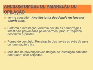 ANCILOSTOMOSE OU AMARELÃO OU
OPILAÇÃO
 verme causador :Ancylostoma duodenale ou Necator
americanus.
 Sintoma e infestação :Anemia devido às hemorragias
intestinais provocadas pelos vermes, produz fraqueza
desanimo e palidez.
 Forma de contágio: Penetração das larvas através da pele
contaminação ativa.
 Medidas de prevenção:Construção de instalação sanitária
adequada; usar calçados.
 