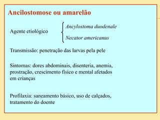 Ancilostomose ou amarelão
Agente etiológico
Transmissão: penetração das larvas pela pele
Sintomas: dores abdominais, disenteria, anemia,
prostração, crescimento físico e mental afetados
em crianças
Profilaxia: saneamento básico, uso de calçados,
tratamento do doente
Ancylostoma duodenale
Necator americanus
 