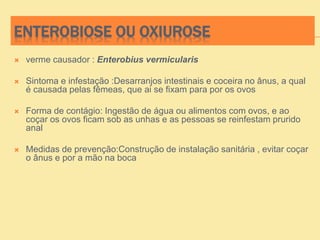 ENTEROBIOSE OU OXIUROSE
 verme causador : Enterobius vermicularis
 Sintoma e infestação :Desarranjos intestinais e coceira no ânus, a qual
é causada pelas fêmeas, que ai se fixam para por os ovos
 Forma de contágio: Ingestão de água ou alimentos com ovos, e ao
coçar os ovos ficam sob as unhas e as pessoas se reinfestam prurido
anal
 Medidas de prevenção:Construção de instalação sanitária , evitar coçar
o ânus e por a mão na boca
 