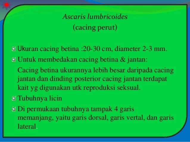 Nemathelminthes